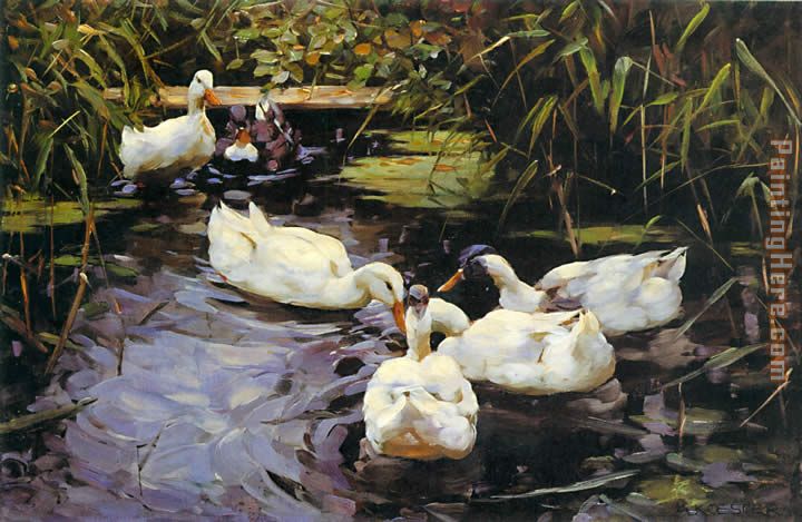 Enten auf einem Schilfteich painting - Alexander Koester Enten auf einem Schilfteich art painting